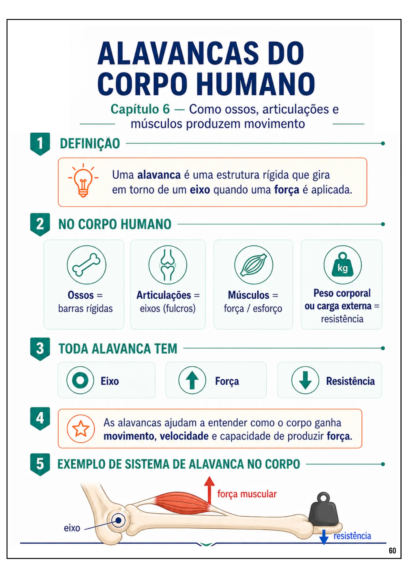 Página sobre alavancas do corpo humano